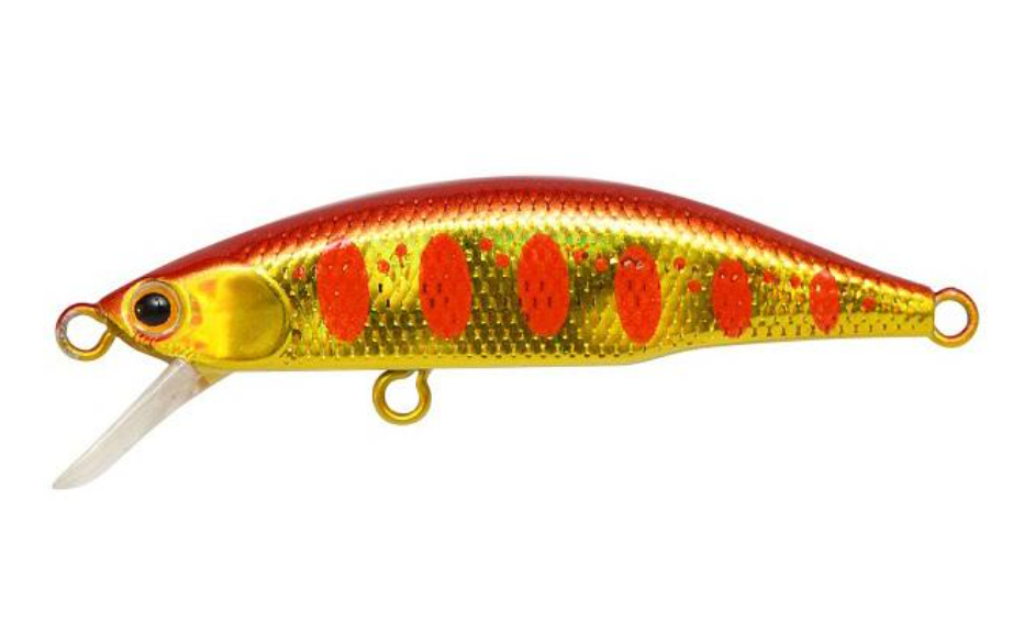ジャクソンメテオーラ 45