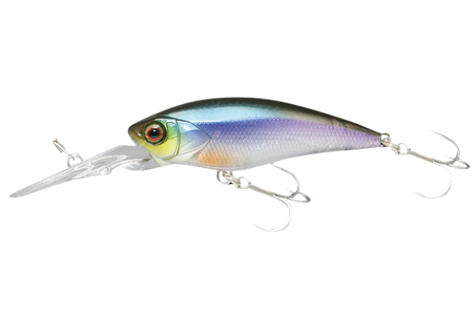 JK ディービルシャッド 55MR