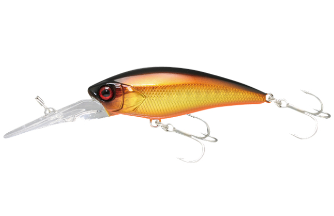 JK ディービルシャッド 55MR