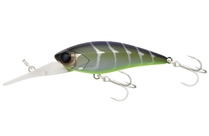 JK ディービルシャッド 55MR